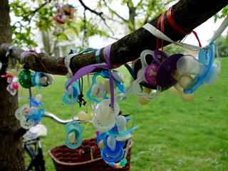 A variety of baby dummies hanging on a tree on father's day in the city garden of Copenhagen