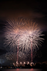 Fuegos artificiales rosas y rojos en un cielo negro con reflejo en el mar