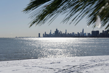 Chicago Skyline at Night