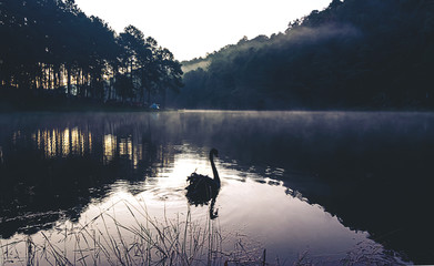 The landscape of the reservoir and the morning fog