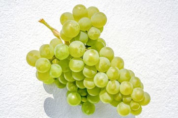 bunch of round green ripe grapes in the sunshine against the white wall Close-up on full frame...