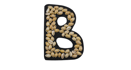 Isolated Font English or Latin Letter b or Russian letter В made of seashell on black granite on white background