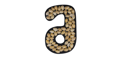 Isolated Font number 6 made of seashell on black granite on white background