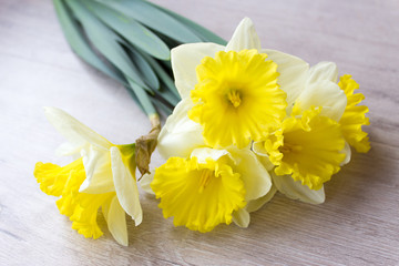 Bouquet of yellow daffodils, spring concept