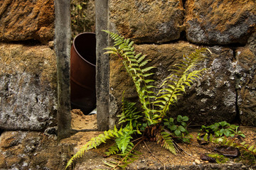 old rusty metall barrel behind an old sandstone wall