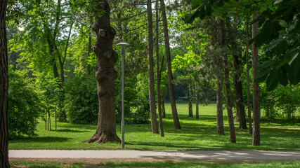 Fototapeta premium Margarite Island Budapest