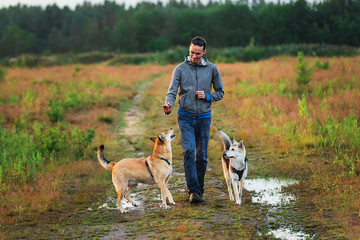 Calm young man walking with dogs at nature