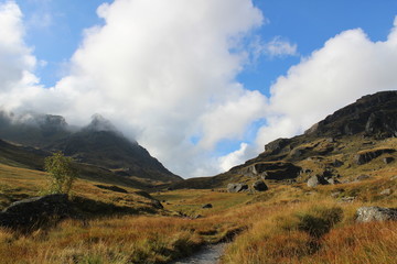 the cobbler