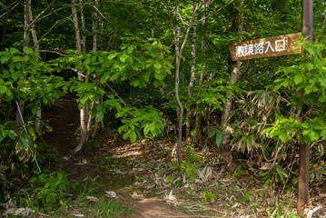森の散策路入り口　北海道添別ブナ林
