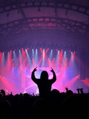 Concert Fans