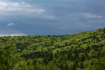 Fototapeta na wymiar Czech forests
