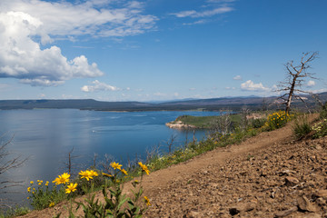 Overlooking Yellowstone Lake