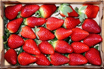 fresh strawberries in a box