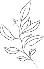 Hand drawn floral vector illustration. Branch on white background. Perfect for pattern, logo, scrapbooking, textile design, fabric, wallpaper, wrapping paper.