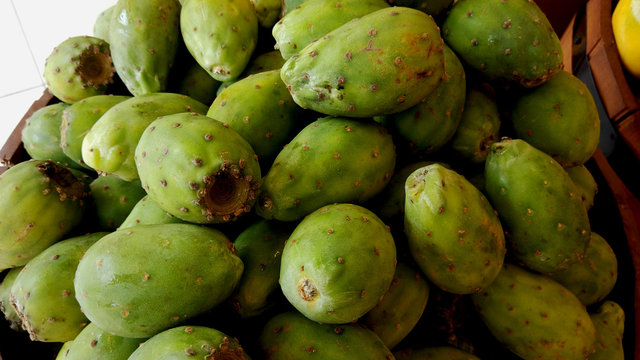 Nopal, higuera, palera, tuna, ​ chumbera