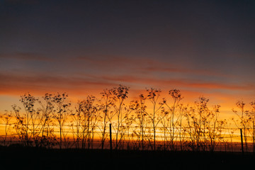 Fototapeta premium sunset