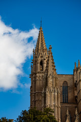 Fototapeta premium パルマ大聖堂