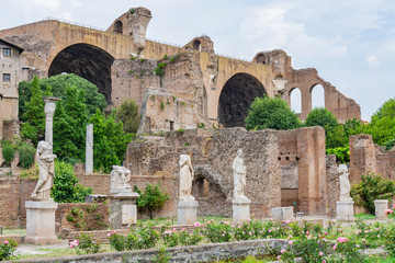 Beautiful scene at the Roman Forum in Rome Italy on a bright summer day