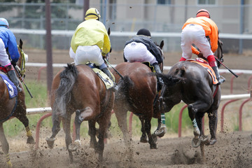 Horse Racing Action At The Track 