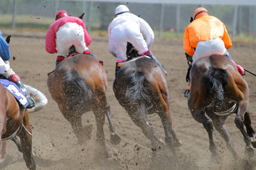 Horse Racing Action At The Track 