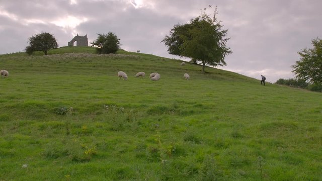 Wide shot viewing a flock of sheep, and a hiker trekking uphill across the pasture, towards an ancient ruin