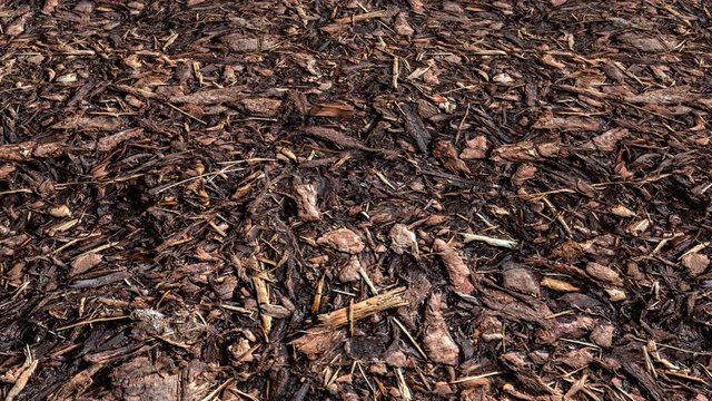 An aerial view over a forest floor full of decomposing wood-chips and tree bark mulch - seamless looping.