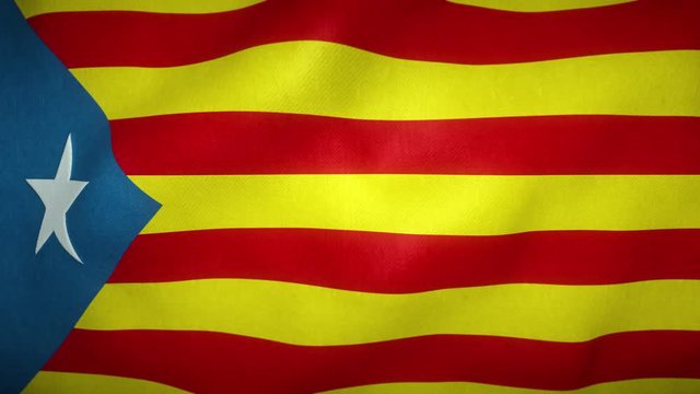 Estelada flag of the separatist movement of catalonia waving in the wind