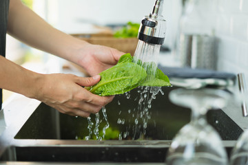 Wash the vegetables in the kitchen.  Housewife'hand cleans a green salad in water. Fresh vegetables to wash the sink. - obrazy, fototapety, plakaty