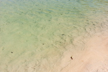 Shades of water and sand. Caribbean sea colors.