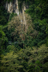 Scenic mountains and lake view in Tambun, Perak