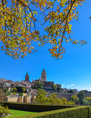 View of Segovia, Spain. In the background: the towers of Segovia Cathedral and the Church of San Andrés