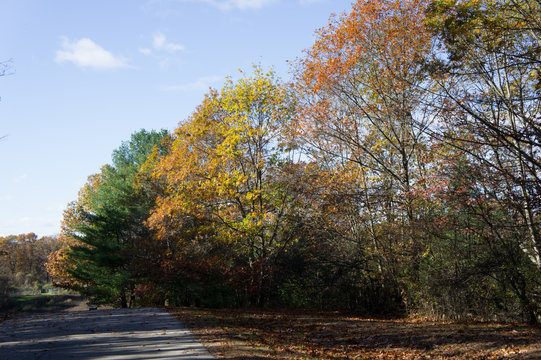 Nahanton Park In Autumn, Newton, MA