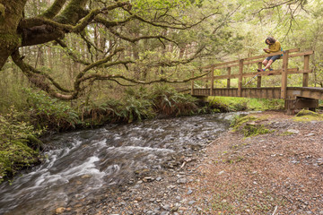 A senior, female walker resting on a wooden pedestrian bridge crossing a small stream on the Lake Daniells Track, Lewis Pass Scenic Reserve, West Coast, New Zealand.