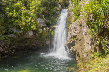 Fototapeta na wymiar The Wainui Falls on the Wainui River, Able Tasman National Park, Tasman, New Zealand.