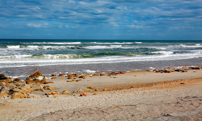 Fototapeta na wymiar Florida waves and coquina rock near Marineland