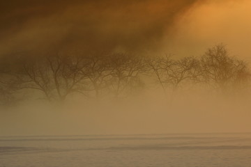 霧の雪景色