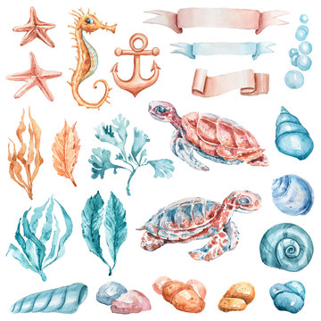 Watercolor hand painted nautical clipart. Set isolated on white background. Can be used for pattern, packaging, design greeting cards for birthday, invitations, poster, print, fabric, scrapbooking