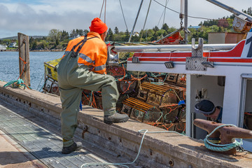 Lobster fishing in Nova Scotia landscape