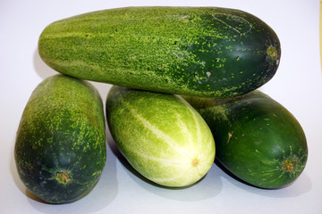 fresh cucumbers isolated on white background