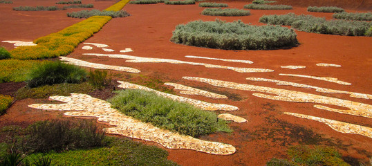 Red desert garden with Australian native plants and crescent shaped decorations. Desert is portrayed as a place of extremes conditions. A metaphor for death, survival or desolated environment