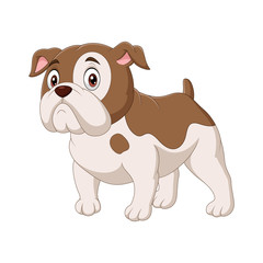 Cartoon bulldog isolated on white background