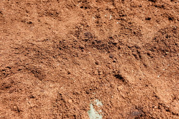 Unused coffee grounds are useful. By bringing to dry for use as fertilizer Used on all plants and for exfoliation