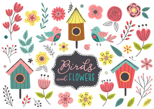 set of isolated spring birds and flowers - vector illustration, eps    