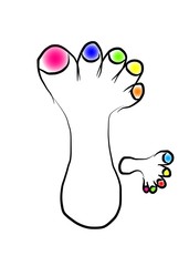 vector illustration of a foot - Lilleaker 