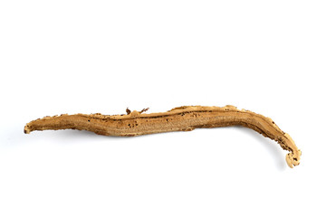 Dried lingzhi mushroom ganoderma with perforated moth