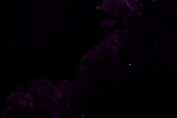 Beautiful abstract color purple and blue flowers graphic on black background and purple graphic flower frame and pink leaves texture, blue background, colorful graphics banner happy valentine day