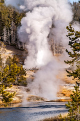Thermal Activity Along the Firehole River