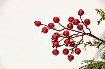 Shiny Red Berries on White Background 