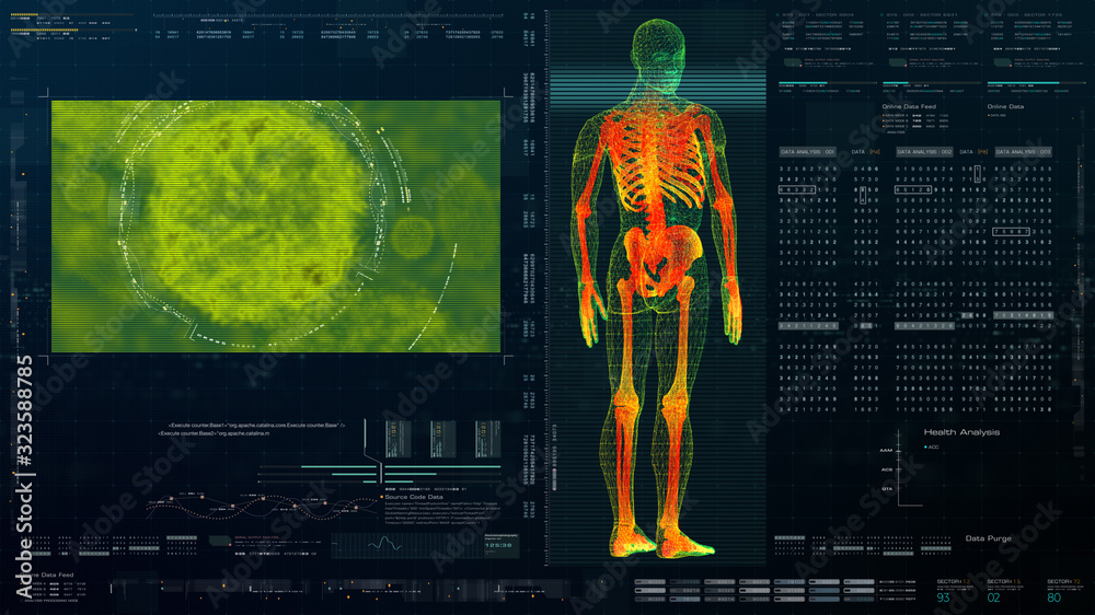 Aufkleber Futuristic head up display motion element virtual biomedical holographic human body scan neurological examination, axial skeleton, vertebral column, DNA and heart diagnostic for background display
