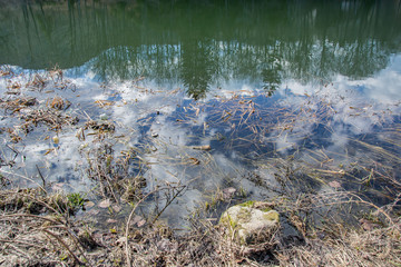 Mountain landscape, beautiful blue sky and white clouds, lake and trees reflection in the water, forest scenery, Smolyan, Bulgaria